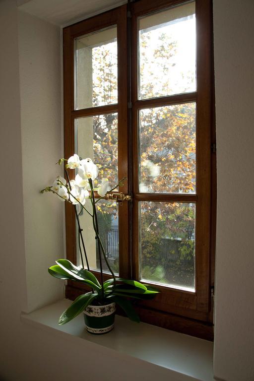 Charming Geneva Apartment Exterior photo